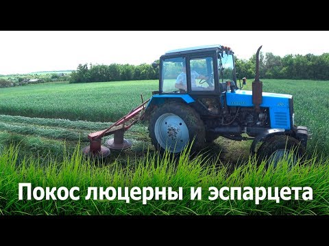 Видео: Покос люцерны и эспарцета 2019.