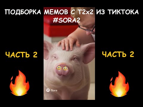 Видео: АДЕКВАТНАЯ ПОДБОРКА НЕЙРОВИДЕО SORA2 С T2x2 ИЗ ТИК ТОКА (2 ЧАСТЬ)