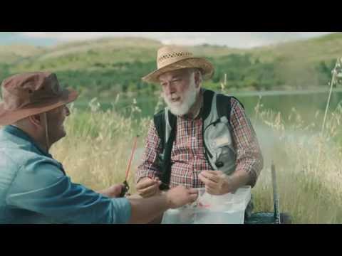 Видео: 80 години Алкалоид. Здравјето пред сè!