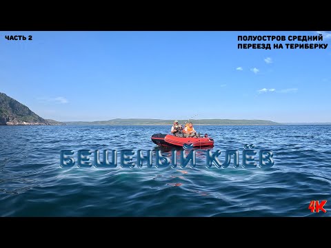 Видео: Полуостров Средний и переезд в Териберку / Ловля ручьевой форели