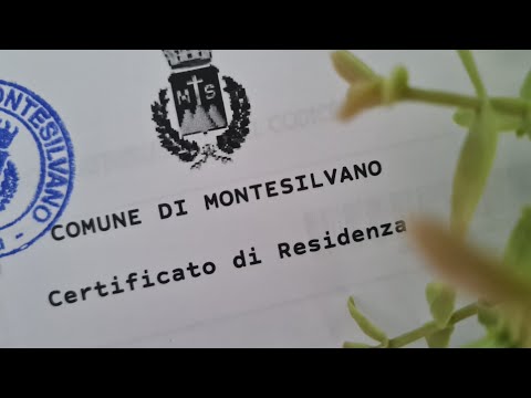 Видео: Прописка в Италии 🇮🇹|Готовим цветы цукини🌼