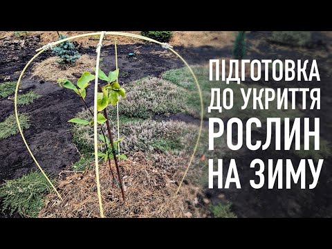 Видео: Укриваємо рослини на зиму!