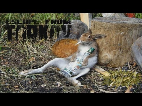 Видео: Рейд с MP-155 Ultima | Батя взялся за ружо, дичина ховайся по кустам | Escape from Tarkov | BULLSEYE