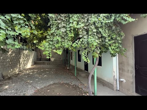 Видео: Срочна хонаи арзон