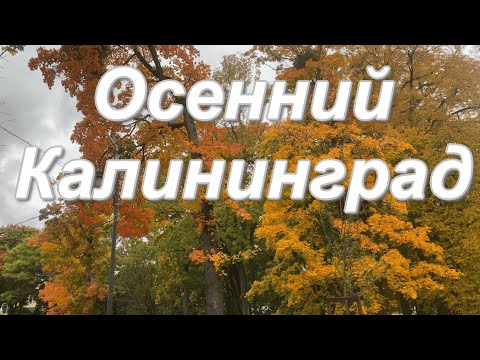 Видео: Осеннее танго