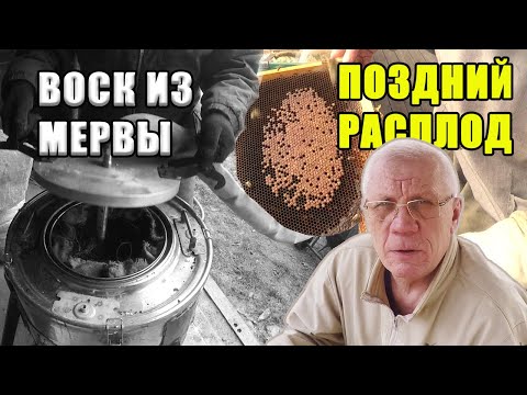 Видео: Работы на пасеке осенью Подготовка пчел к зимовке Вытопка воска