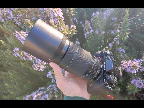 Видео: Fuji XF 70-300mm f/4-5.6 R LM OIS WR Личный опыт использования