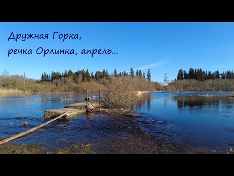 Видео: Дружная Горка, речка Орлинка, аисты, апрель...