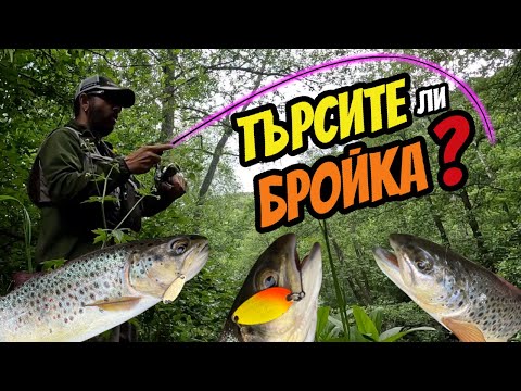 Видео: РАЗБИЙ БАЛКАНКИТЕ с МИКРО ПРИМАМКИ! Риболов на пъстърва на малка река