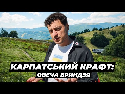 Видео: Скільки заробляють карпатські вівчарі? Життя і робота на полонині. Крафтові Мандри.