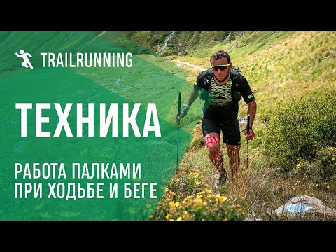 Видео: Техника работы палками при ходьбе и беге в подьем.