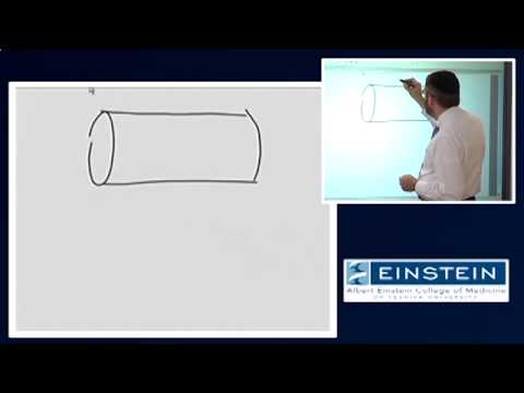 Видео: Знакомство с МРТ: Аппаратное обеспечение — Градиентные магнитные поля (20 из 56)