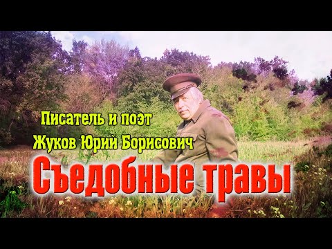 Видео: Съедобные травы дикоросы (сорняки) на приусадебном участке.