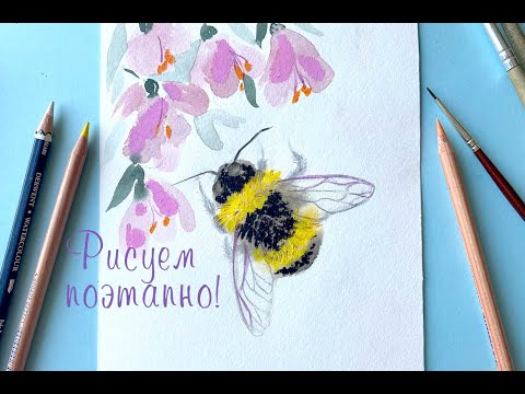 Видео: Как поэтапно нарисовать пчелу в цветах. Рисуем акварелью и пастелью
