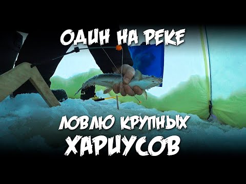 Видео: Один на реке / Ловлю крупных хариусов