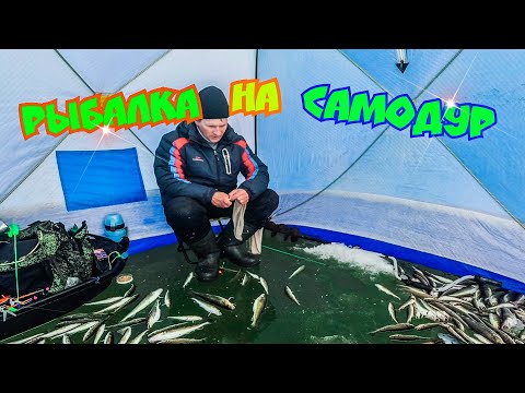 Видео: РЫБАЛКА 2021 КЛЕВАЯ РЫБАЛКА ЗИМОЙ из подо льда на самодур БЕШЕНЫЙ КЛЕВ