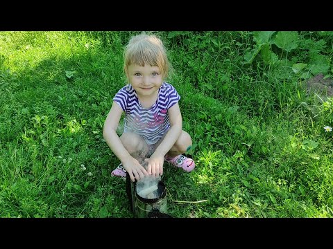 Видео: Подсадка неплодных маток на меду. Результат 2021 года.