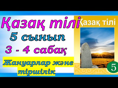 Видео: Қазақ тілі 5 сынып 3 - 4 сабақ Жануарлар және тіршілік
