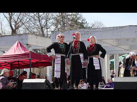 Видео: Пијанечки старовремски собор Тодорица- изведено на „Тодорица 2025“ Свети Николе- Гран при