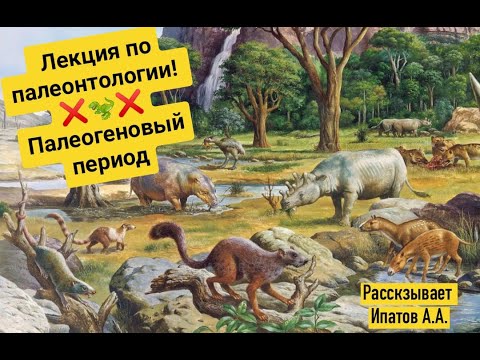 Видео: Палеогеновый период | Александр Ипатов