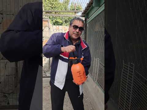 Видео: 3 ноября 2025 г.