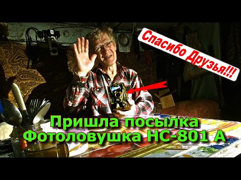 Видео: Пришла посылка Фотоловушка HC 801A