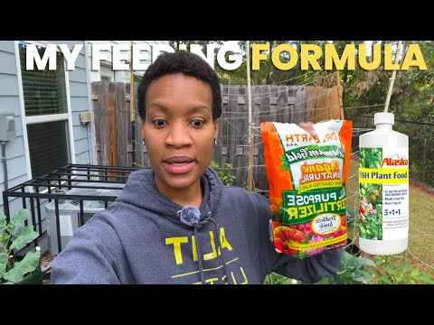 Видео: Как удобрять растения: секрет счастливых контейнерных растений раскрыт!