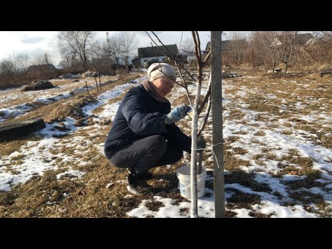 Видео: Одна в деревне/ 200 рублей на две недели/Оттепель/