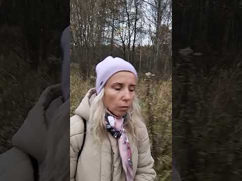 Видео: созависимые отношения ссоры в отношениях как делает так чтобы был мир