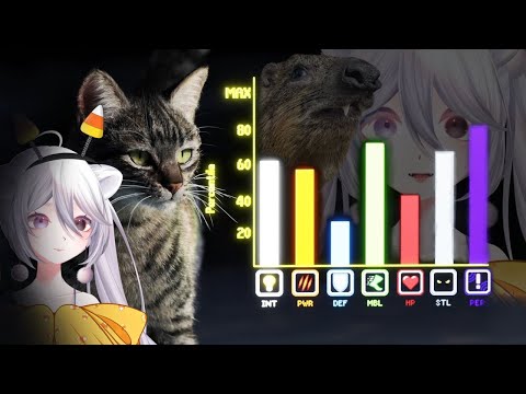 Видео: У домашних кошек просто невероятная статистика | TierZoo React