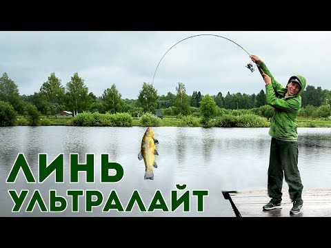 Видео: Линь на ультралегкие удилища! Как ловить на донный спиннинг редкую и очень красивую рыбу?!