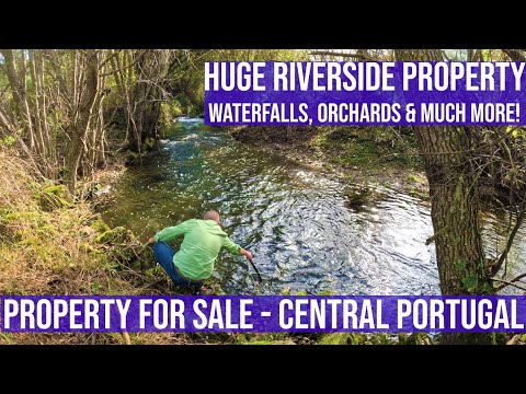 Видео: ОГРОМНАЯ ФЕРМА НА БЕРЕГУ РЕКИ — ВОДОПАДЫ, ФРУКТОВЫЕ САДЫ, 2 БОЛЬШИХ РУИНЫ... РАЙ БЕЗ ЭЛЕКТРОСЕТИ ...