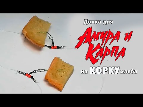 Видео: На ХЛЕБНУЮ корку со ДНА! Как сделать снасть и поймать АМУРА и КАРПА