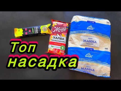 Видео: Класна насадка на карася з манки \ ЯК ПРИГОТУВАТИ МАНКУ ДЛЯ РИБАЛКИ?