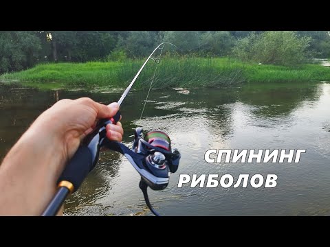 Видео: РИБОЛОВ на РЕКА със СПИНИНГ и ВОБЛЕРИ - ПЪРВИ ИЗЛЕТ за 2023г ОСТАНАХ СУПЕР ИЗНЕНАДАН