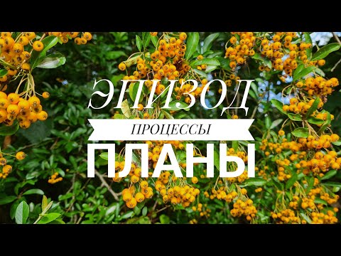Видео: Эпизод. Процессы. Готовые работы. Планы. Полосатик, носки, плед, шорты, жилет, джемпер спицами
