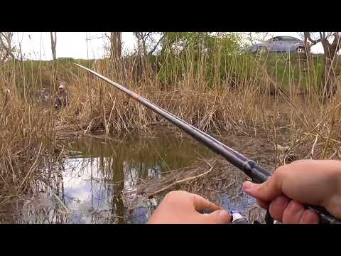 Видео: ВОТ ЭТО Я ПОНИМАЮ УДАЧНАЯ РЫБАЛКА НА КАРАСЯ 2024. БЕШЕНЫЙ КЛЁВ РЫБЫ! Рыбалка на удочку весной