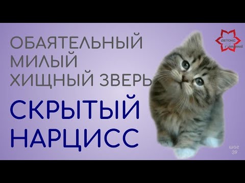 Видео: Скрытый нарцисс. Черты характера и поведения, которые подскажут с кем вы имеете дело.