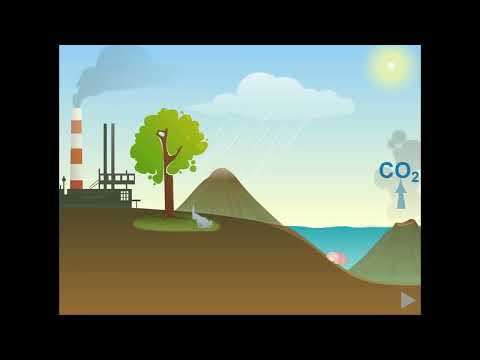 Видео: 9 grade_Biology_Carbon cycle_ Көміртек айналымы 9 класс