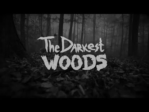 Видео: ПРОГУЛКА ПО ЛЕСУ► THE DARKEST WOODS