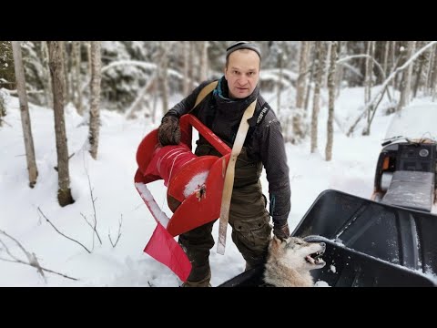 Видео: охота на Волка! добыли!