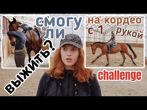 Видео: ВЫЖИВИ С 1 РУКОЙ НА КОНЮШНЕ ЧЕЛЛЕНДЖ/день из жизни конника