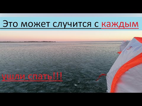 Видео: Открытие зимнего сезона. Первый лед 2022-23 цимлянское вдхр