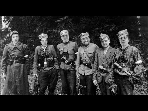 Видео: ОНИ БОРОЛИСЬ ЗА ПОЛЬШУ (ArmA3)