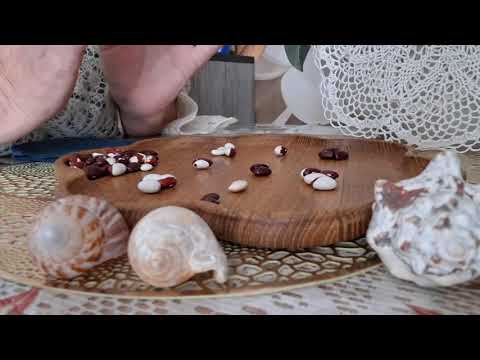 Видео: 9 ноября 2025 г.