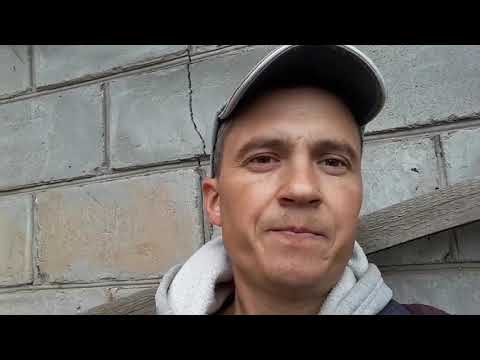 Видео: Топинамбур. Выращивание, посадка, хранение