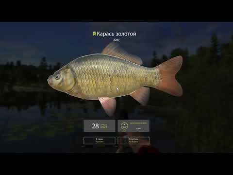 Видео: Цель 3 фидера достиг.А теперь долгий фарм и прокачка.#2.Русская рыбалка4