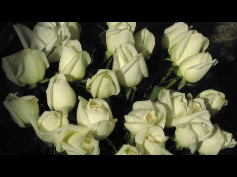 Видео: Его мысли о Вас сегодня 🔥🔥🔥