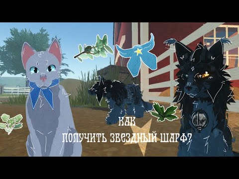 Видео: —Как получить звездный шарф? •|🍃ᴡᴀʀʀɪᴏʀ ᴄᴀᴛꜱ🍃| MoonVision | Коты воители| Целительство | WC:UE //-/+