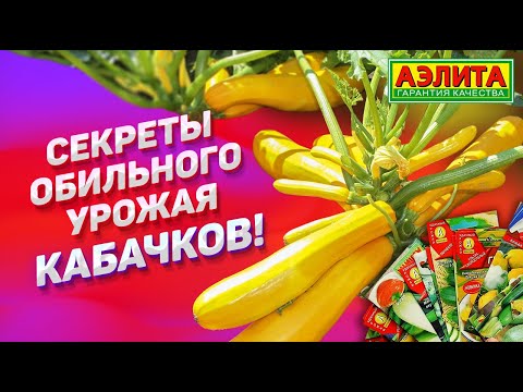 Видео: ЛУЧШИЕ сорта и гибриды кабачков! Сажаем семена на рассаду.